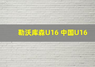 勒沃库森U16 中国U16